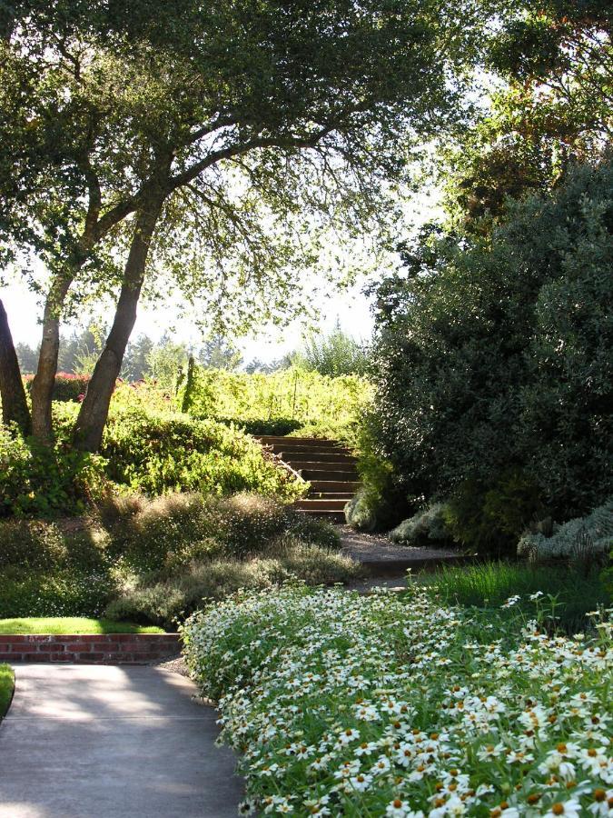 Madrona Manor Hotel Healdsburg Eksteriør billede